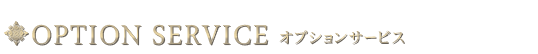 オプションサービス