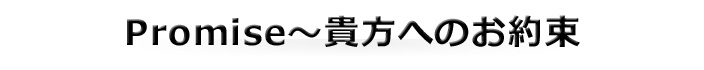 v~X`Ȃւ̂