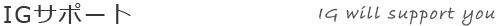 IG�T�|�[�g